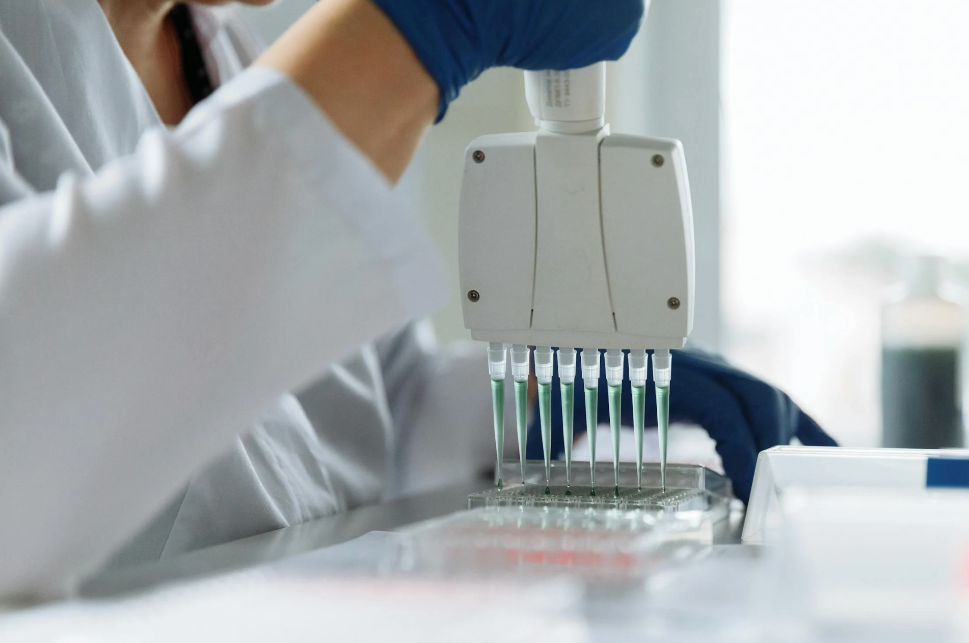 Estrés oxidativo y fertilidad: qué significa y por qué importa